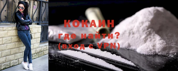 сатива Кулебаки