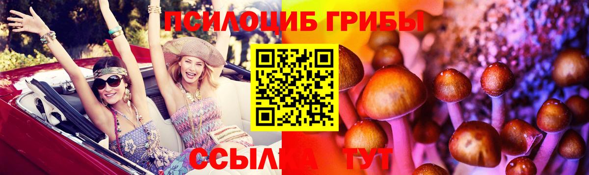 Павловский Посад  наркотики  Вход с VPN  Псилоцибиновые грибы Cubensis  Псилоцибиновые грибы прущие грибы 