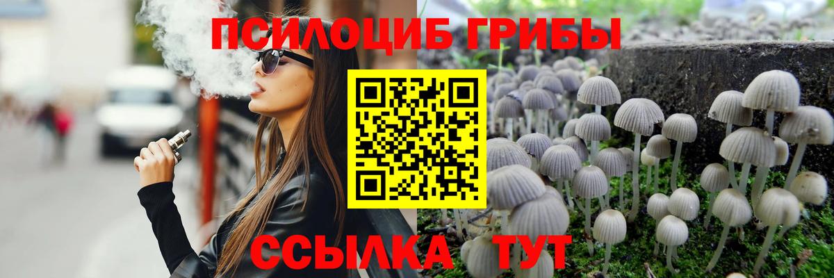 Псилоцибиновые грибы MAGIC MUSHROOMS Павловский Посад