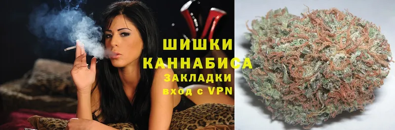 Каннабис THC 21%  мориарти как зайти  Павловский Посад  купить закладку 